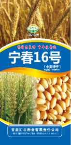 宁春16