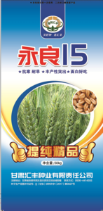 永良15