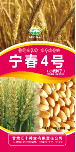 宁春4